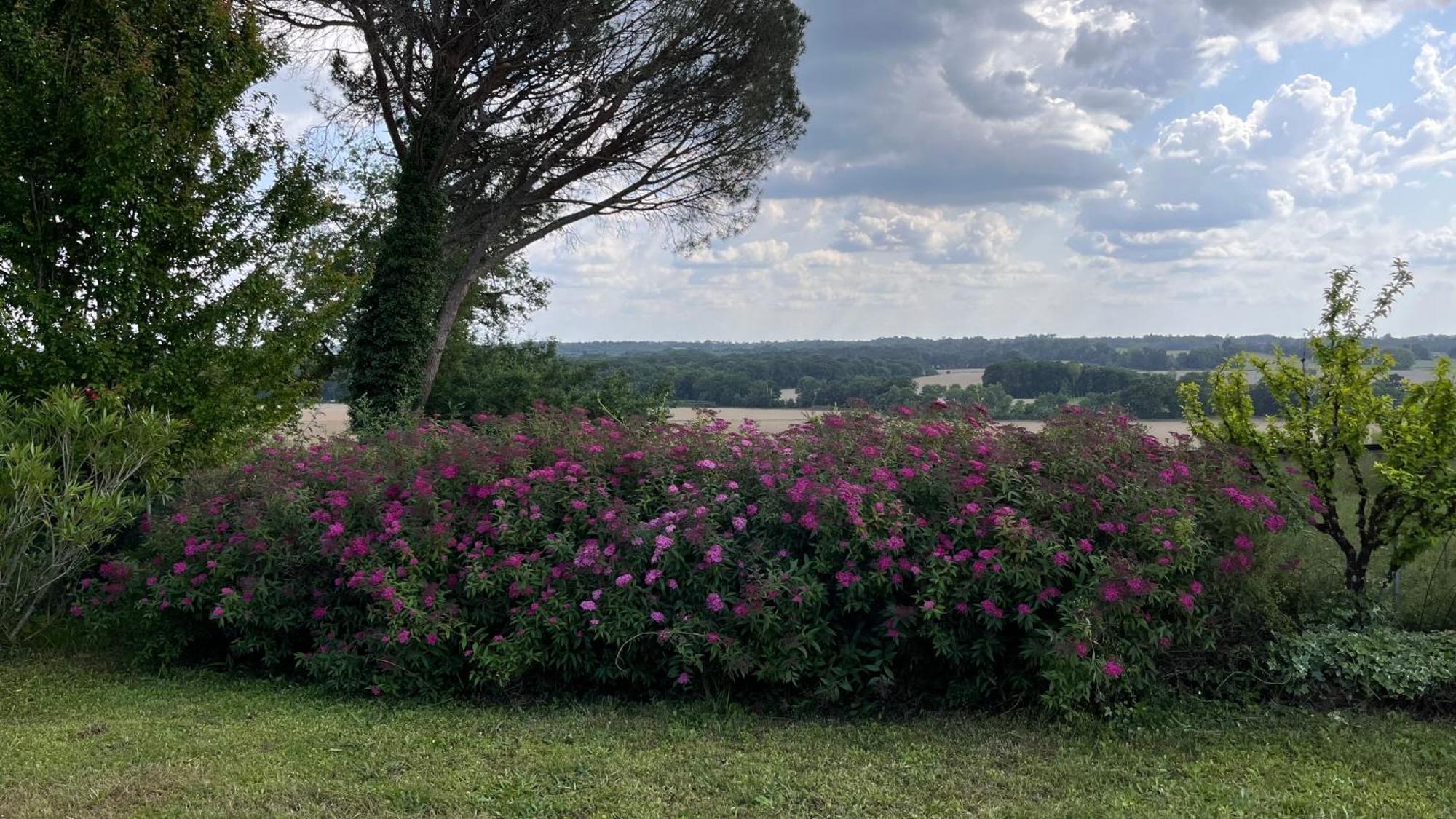 Villa Metairie De Moutiques Cazaubon Esterno foto